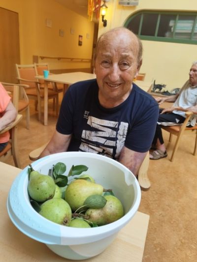Apfel- und Birnenkompott eingekocht – Bild 4